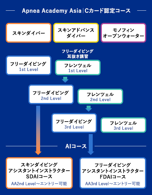 コースフローチャート